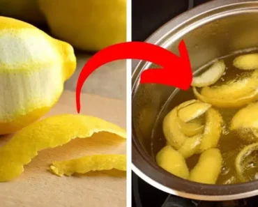 Boil Lemon Peels to Create a Powerful Natural Remedy Full of Benefits