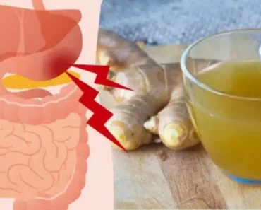 8 Incredible Things Happen To The Body After Drinking Ginger Tea