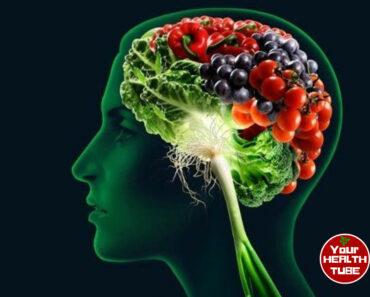 Brain Food to Improve Your Memory and Concentration