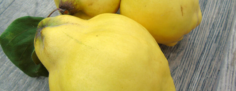 What Happens To Your Body When You Eat Quince