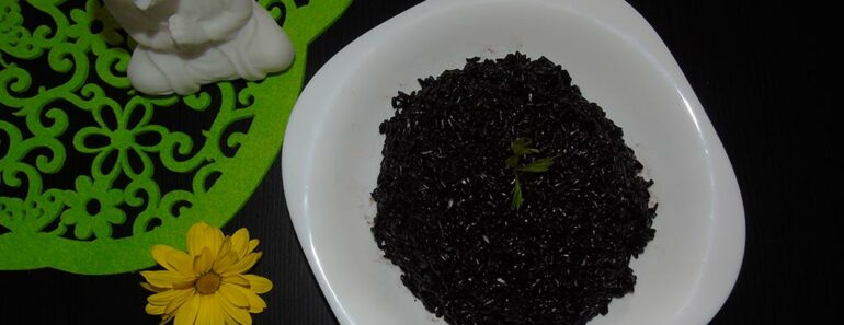 The Forbidden Rice: Black Rice Has The Most Impressive Benefits for Weight Loss, Diabetes, and More