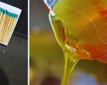 Do You Think Your Honey Is Organic? Here’s a Quick Trick to Spot Fake Honey