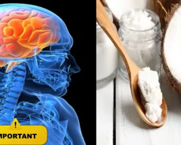 This Guy Ate 2 Tablespoons of Coconut Oil Two Times a Day, and This is What Happened to His Brain