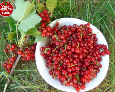 This Is What Happens To Your Body When You Eat Red Currant (Recipe Included)