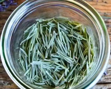 Never Toss Out Lavender Leaves! You Can Use Them in Many Surprising Ways