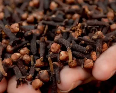 9 Secret Health Benefits of Cloves Everyone Should Know (And How to Use Them)