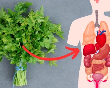 The Healing Power of Parsley Leaves: Here is How It Can Cure 10+ Ailments