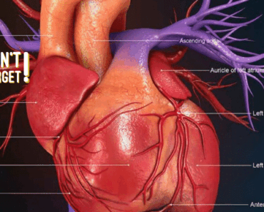 6 Warning Signs Your Body Gives Before a Heart Attack