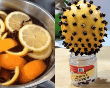 Clove and Lemon: The Natural Duo That’s Changing Lives (and Homes!)