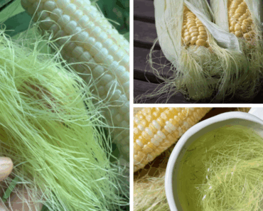 Do Not Throw Away Corn Silk—It Has Many Health Benefits!