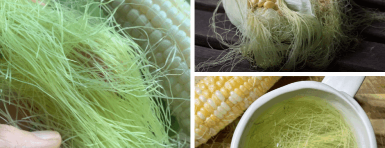 Do Not Throw Away Corn Silk—It Has Many Health Benefits!
