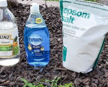 Vinegar Weed Killer Exposed: Does It Really Work? Best DIY Recipes & Pro Tips for Banishing Weeds Naturally!