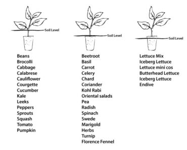 Plant It Right Every Time: The Ultimate Guide to Perfect Veggie Depths