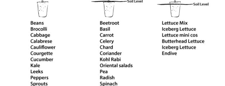 Plant It Right Every Time: The Ultimate Guide to Perfect Veggie Depths