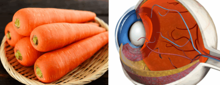 When You Eat Carrots Every Day for a Week, You’ll Notice These 9 Big Changes